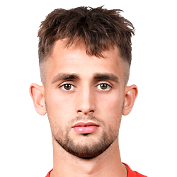 Adnan Januzaj